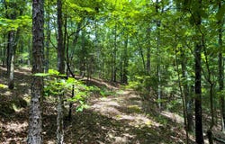 Ember Road, Shirley, AR 72153