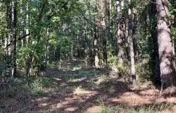 47 Mose Hilliard Road, Sontag, MS 39665