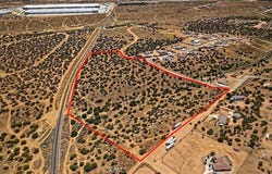 Verbena, Oak Hills, CA 92344