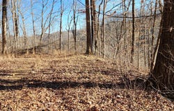 Birch Hollow Rd lot: # 20 Phase 3, Stanton, KY 40380