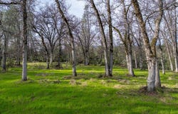 034 Soleado Lane, Redding, CA 96001