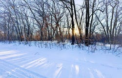 XXXXX German Lake Road, Underwood, MN 56586