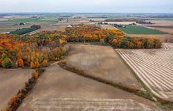 WOOD Road, Marlette Twp, MI 48453