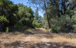 47850 Road 620, Oakhurst, CA 93644