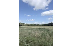 2174 Greene 514, Paragould, AR 72450