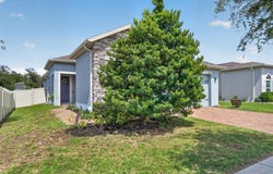 2818 BIGLEAF MAPLE Drive, OCOEE, FL 34761