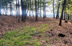 1005 Cliff Raper Road, Murphy, NC 28906