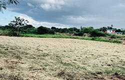 Islote, Arecibo, PR 00612