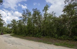 34287 Berryhill Drive, Webster, FL 33597