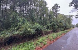 Moses Street, Hope, AR 71801