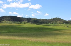 Tract 4 Bay Mountain Rd., Hulett, WY 82720