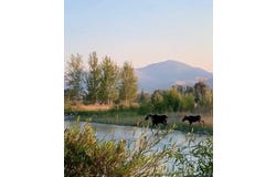 TBD 90.95 Houston Rd, Mackay, ID 83251