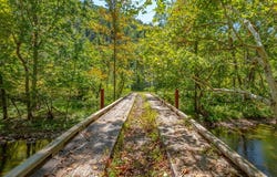 Wolf Creek Road, Narrows, VA 24124