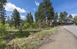 47 Needle Creek Court, Durango, CO 81301