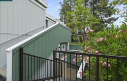 1100 Singingwood, Walnut Creek, CA 94595