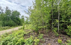 Lot 4 Mt. Jefferson Heights, Lee, ME 04455