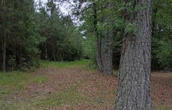 Maules Point Road, Blounts Creek, NC 27814