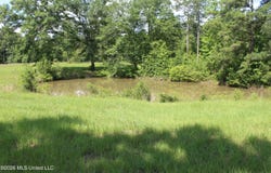 91 Levester Smith Lane, Silver Creek, MS 39663