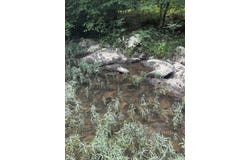 Easement Road off Polk Road 31, Cove, AR 71937