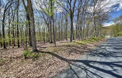 Whippoorwill Drive, Bushkill, PA 18324