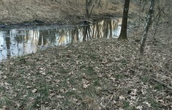 3968 Highway 167, AR 72513
