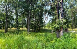7241 US Highway 169, Garrison, MN 56450