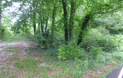Prentice St, Crossville, TN 38555