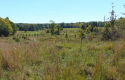 Lonnie Harris Road, Oxford, NC 27565