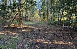 TIERNAN Rd, Mapleton, OR 97453