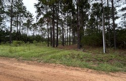 165 Creekside Way, Metter, GA 30439