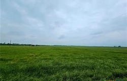 County Road 337, Granger, TX 76530