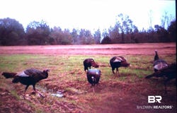 Highway 41, Brewton, AL 36426-1234