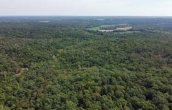 21721 Canyon Drive, Wheatland, MO 65779