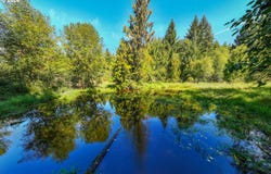 20462 S YOUNG Rd, Molalla, OR 97038
