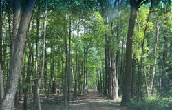 DEEP NECK Road, ROYAL OAK, MD 21662