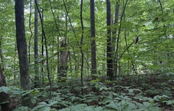 324 Dudala Point, Loudon, TN 37774