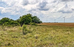 CR 235,227, Haskell, TX 79521