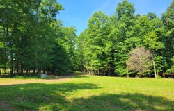 Hicks Farm Road, Staley, NC 27355