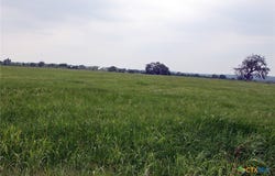 Brushy Branch Road, Lockhart, TX 78644