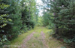 6595 Wickert Road, Hale, MI 48739