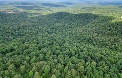 52 Summerfield Creek, AR 72482