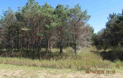 431 KLEEHAMMER CLUB DRIVE, KALKASKA, MI 49646