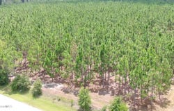E Lucy Berge Road E, Hazlehurst, GA 31539
