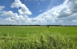 FM 3486, Terrell, TX 75160