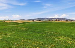 11879 E Elder Rd, Valleyford, WA 99036