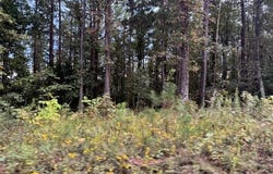 Perkins, Bonnerdale, AR 71957