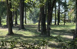 16 Garden Road, Morrilton, AR 72110