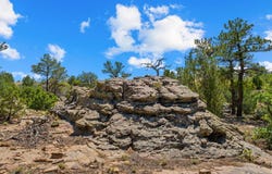 Pickney Rd, Rye, CO 81069