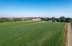 7531 High Mesa Road, Olathe, CO 81425