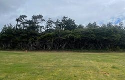 Shoreline Dr, Florence, OR 97439